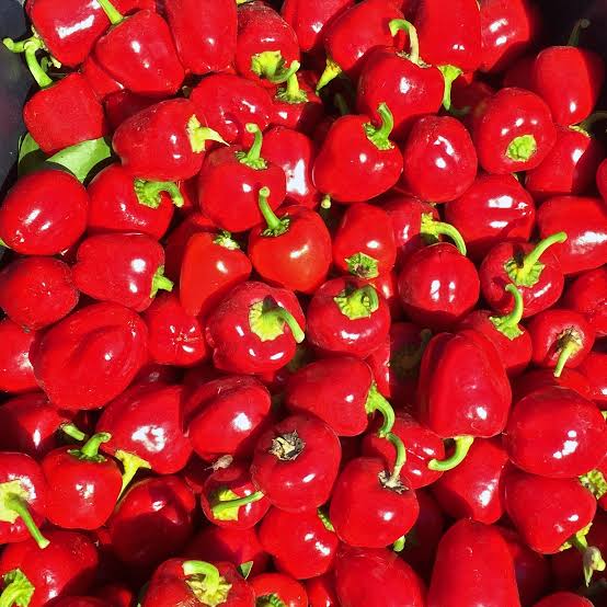 Yellow & Red Pepper